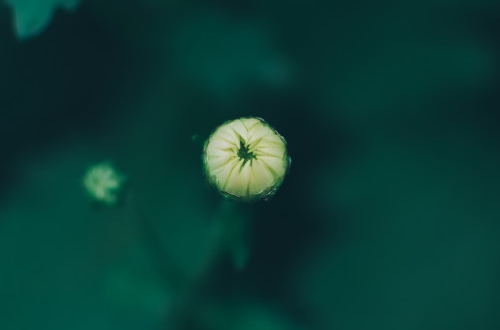 廣州酒店小程序開發(fā)的功能分享？